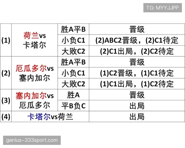 世界杯A组南非出线形势全面解读
